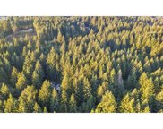 NE 46TH ST, Camas image