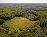 160 Acres BIRCH DRIVE, Mosinee image