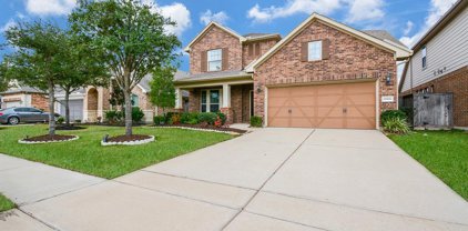 19906 Caitlyn Blossom Lane, Cypress