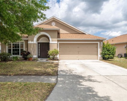 12323 Hawkeye Point Place, Riverview