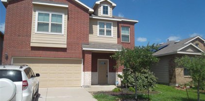 3627 S Bright Moon Court, Katy