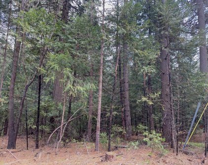 6134 Kokanee Lane, Pollock Pines