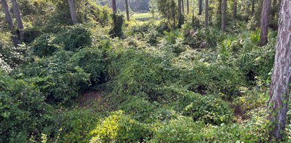 132 Spoonbill Ct, Carrabelle