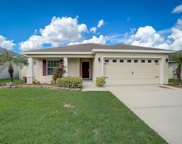 719 Vineyard Reserve Court, Seffner image