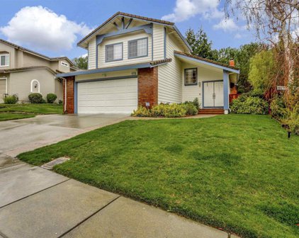 43675 Skye Rd, Fremont