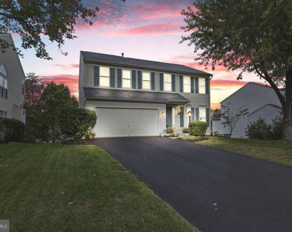 10046 Tummel Falls Dr, Bristow