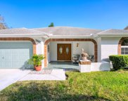 1587 Wicklow Drive, Palm Harbor image