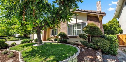 4404 Weeping Spruce Ct, Concord