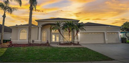 1423 Highwood Place, Wesley Chapel