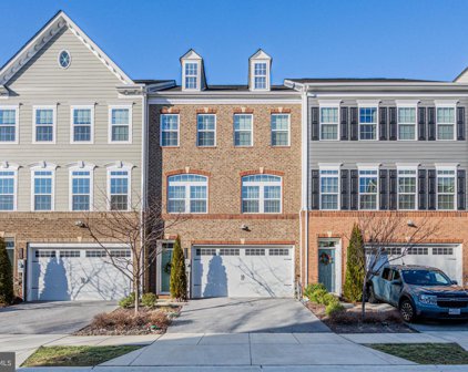 6028 Charles Xing, Ellicott City