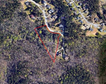 1461 River Station Drive, Lawrenceville