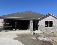 1250 Tsar, Conway image