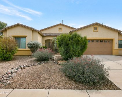 11487 W Amber Stone, Marana