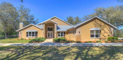 1241 Maximilian Avenue, Spring Hill