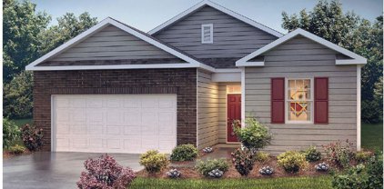 1545 Martingale, Roebuck