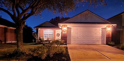 4722 Ivy Meadow Lane, Katy