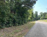 xx Burrow Road, Arkadelphia image