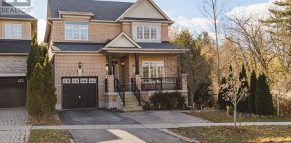 137 Old Colony Road, Richmond Hill