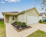 25626 Royal Catchfly Road, Katy image
