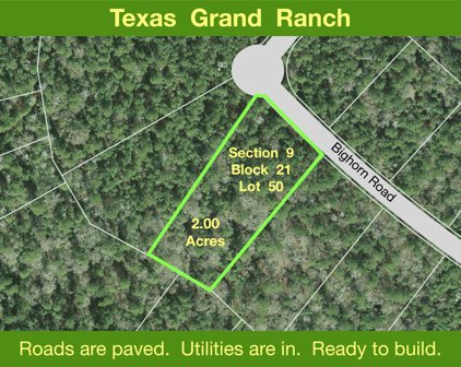 9-21-50 Bighorn Road, New Waverly