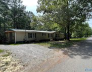 471 Curtis Avenue, Ohatchee image
