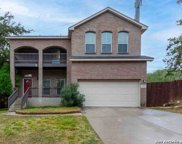 9038 Richmond Hill St, San Antonio image