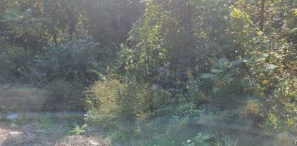 Lot 1 State Fair  Boulevard, Van Buren-315689