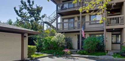 964 Apricot Avenue, Campbell