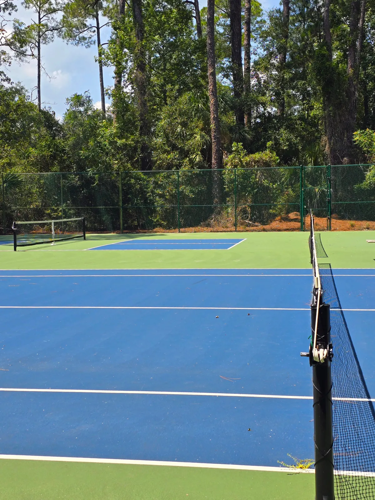 Ashton Cove community tennis and pickleball courts in Hilton Head SC