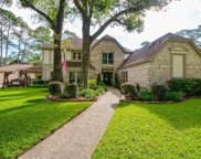 13118 Plumwood Drive, Cypress image
