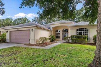 3803 Beacon Ridge Way, Clermont