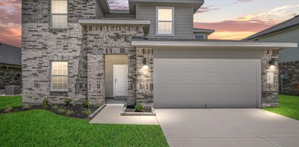 3707 Bartlett Springs Court, Pearland