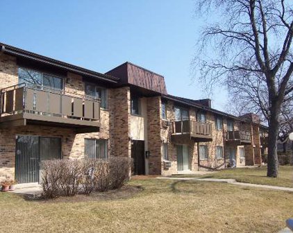 2630 N Windsor Drive Unit #203, Arlington Heights
