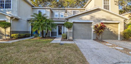 2962 Royal Tuscan Lane, Valrico