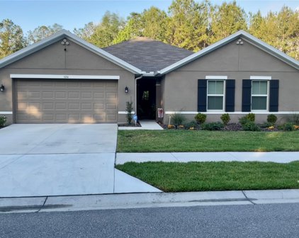 5216 Diantha Way, Brooksville