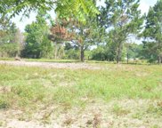 1446 County Road 2107, Liberty image