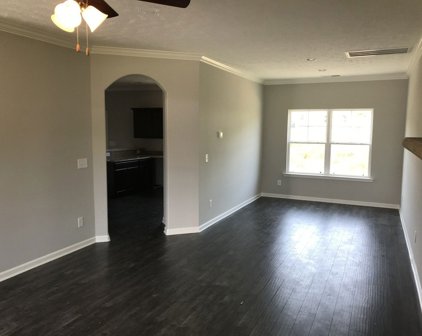 809 Callie Ln, Pleasant View