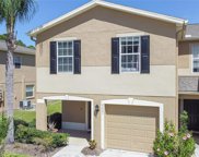 8007 Savannah Sunset Lane, Tampa image