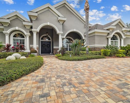 9738 Milano Drive, Trinity