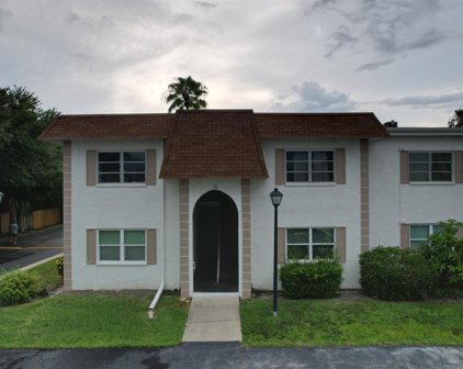 221 S Mcmullen Booth Road Unit 163, Clearwater