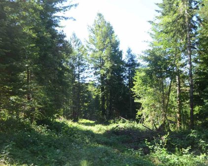 Lot 25 Bell Hole, Crescent City