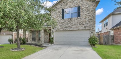 19526 Country Mountain Court, Spring