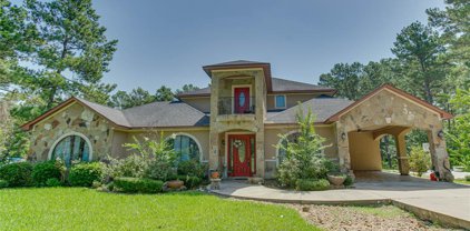 14131 Willis Waukegan Road, Conroe