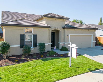 9228 Earl Fife Dr, Elk Grove