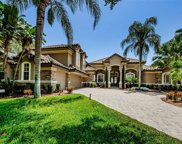 9643 Milano Drive, Trinity image