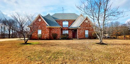 5517 Deer Trail Cove, Southaven