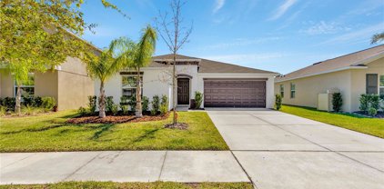 17232 White Mangrove Drive, Wimauma