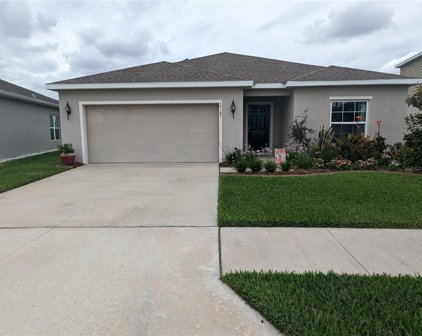 10183 Hawks Landing Drive, Land O' Lakes