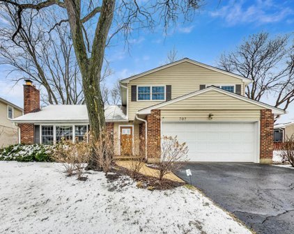 707 W Noyes Street, Arlington Heights