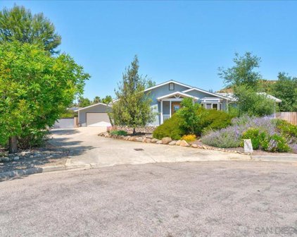 24903 Via Lopez Ct., Ramona